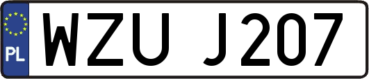 WZUJ207