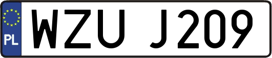 WZUJ209