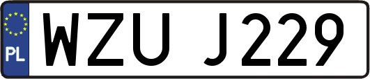 WZUJ229