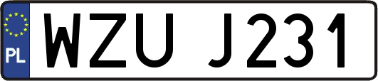 WZUJ231