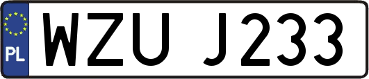 WZUJ233