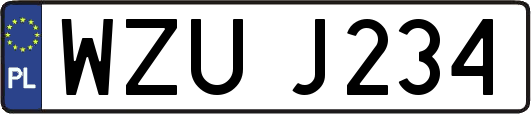 WZUJ234