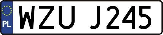 WZUJ245