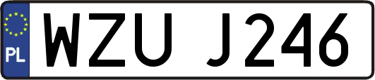 WZUJ246