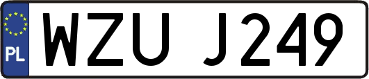 WZUJ249