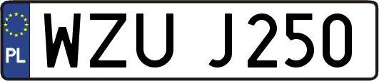 WZUJ250