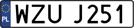 WZUJ251