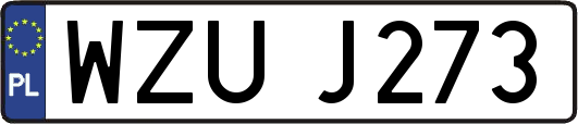 WZUJ273