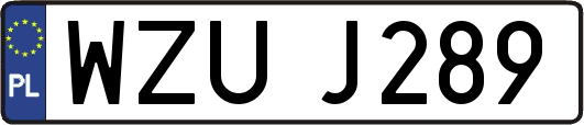 WZUJ289