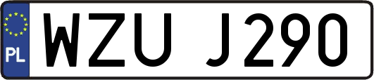 WZUJ290