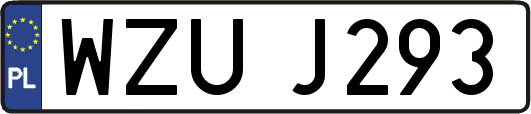 WZUJ293
