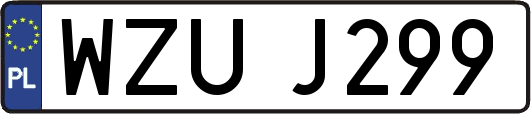 WZUJ299