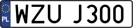 WZUJ300