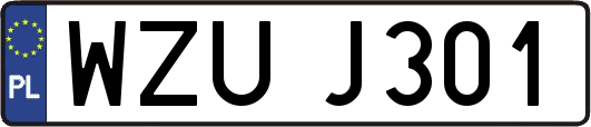 WZUJ301