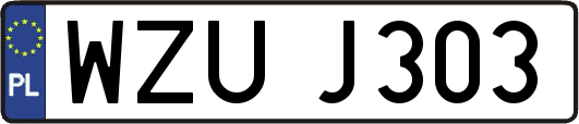 WZUJ303