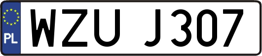 WZUJ307