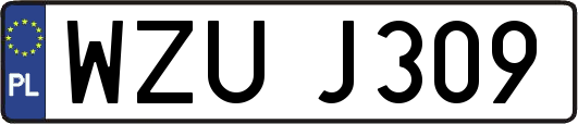 WZUJ309