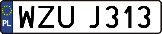 WZUJ313