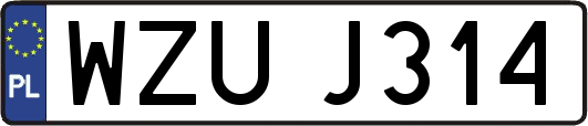 WZUJ314