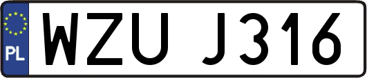 WZUJ316