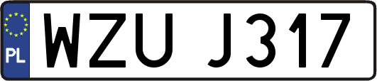 WZUJ317