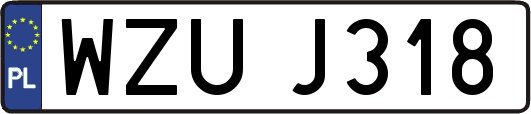 WZUJ318