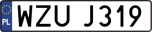 WZUJ319