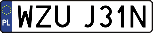 WZUJ31N
