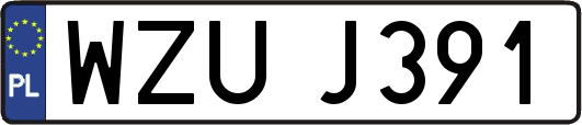 WZUJ391