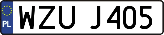 WZUJ405