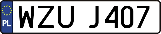 WZUJ407