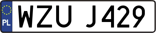 WZUJ429