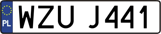 WZUJ441