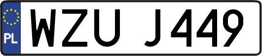 WZUJ449