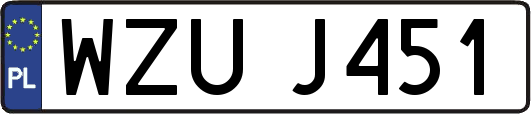 WZUJ451