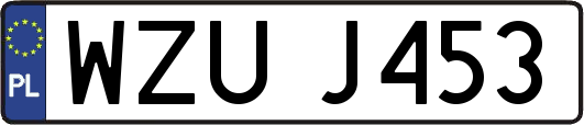 WZUJ453