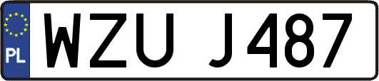 WZUJ487