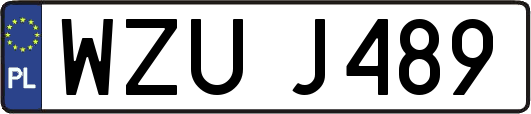 WZUJ489