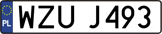 WZUJ493