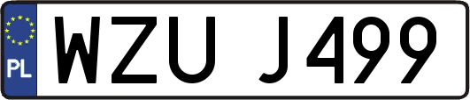 WZUJ499