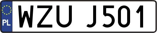 WZUJ501