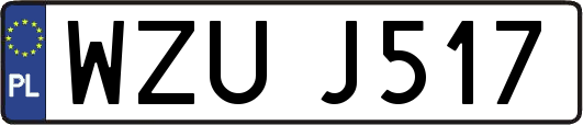 WZUJ517
