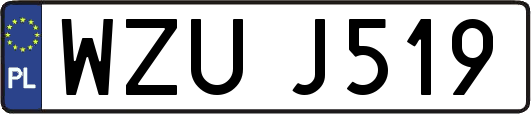 WZUJ519