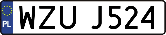 WZUJ524