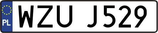WZUJ529