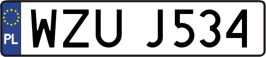 WZUJ534