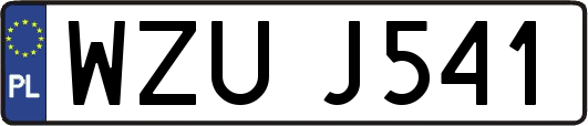 WZUJ541