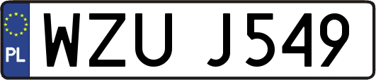 WZUJ549