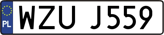 WZUJ559