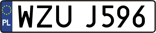 WZUJ596